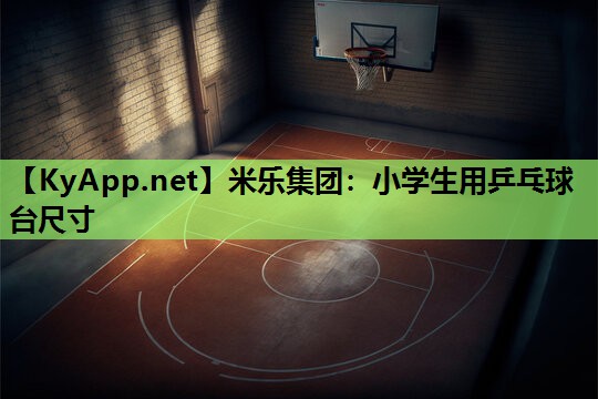 米乐集团:小学生用乒乓球台尺寸