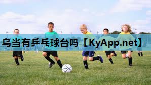 乌当有乒乓球台吗