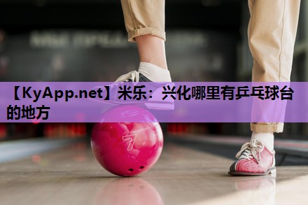 米乐:兴化哪里有乒乓球台的地方