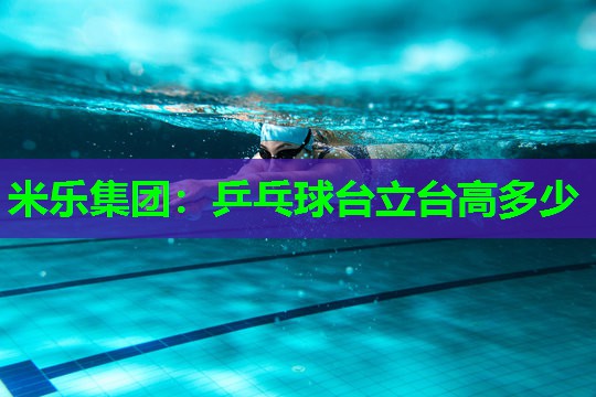 米乐集团:乒乓球台立台高多少