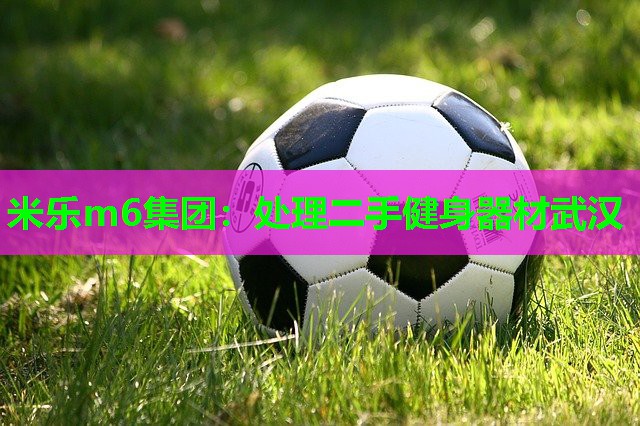 米乐m6集团:处理二手健身器材武汉