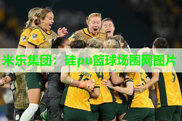 米乐集团:硅pu篮球场围网图片