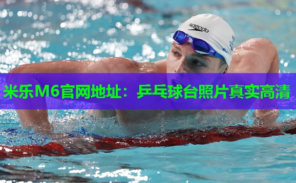 米乐M6官网地址:乒乓球台照片真实高清
